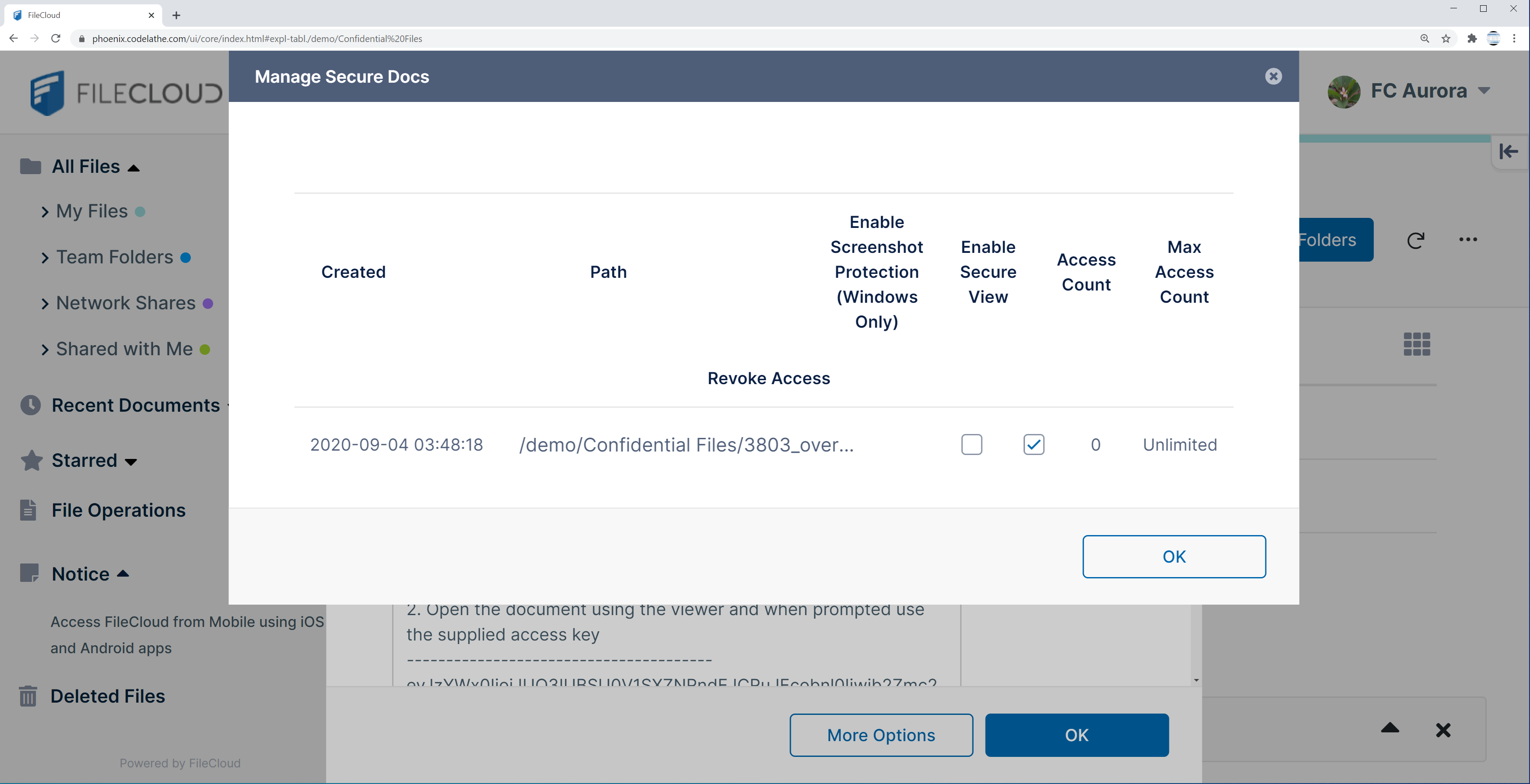 Manage Secure Documents FileCloud Preview