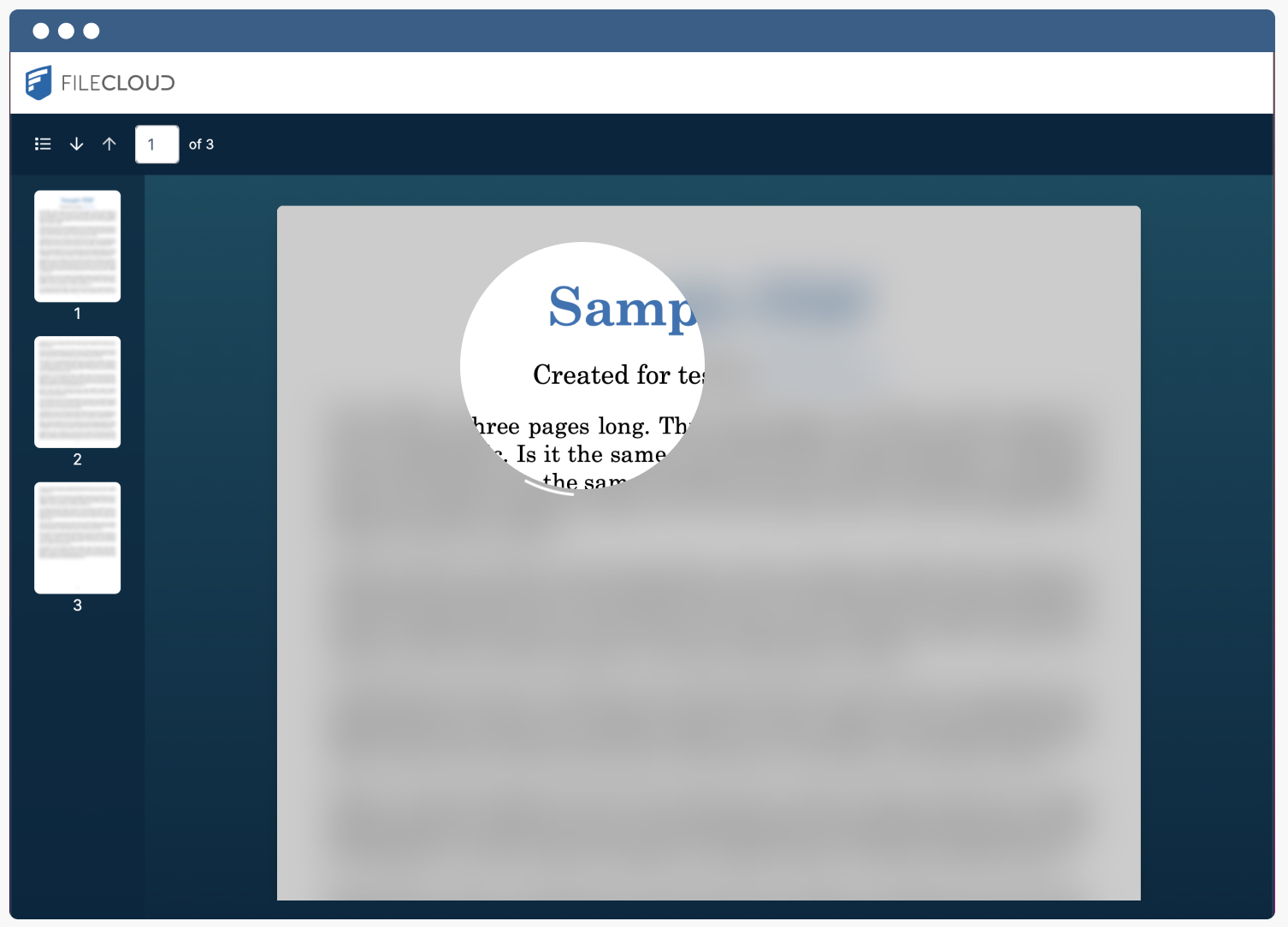 Screenshot of FileCloud Secure Web Viewer Feature