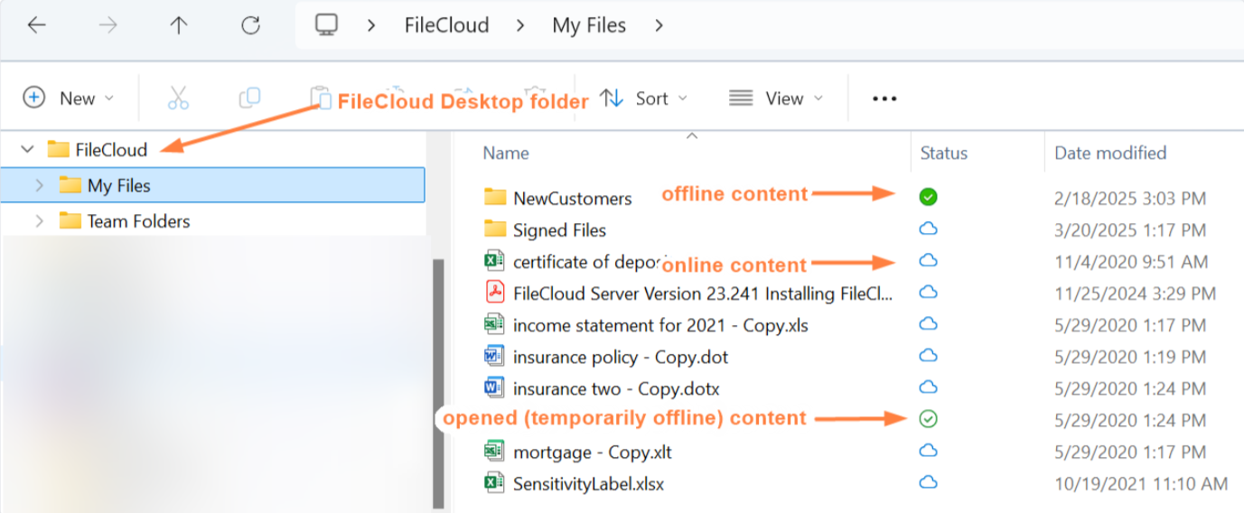 FileCloud Desktop Windows Explorer